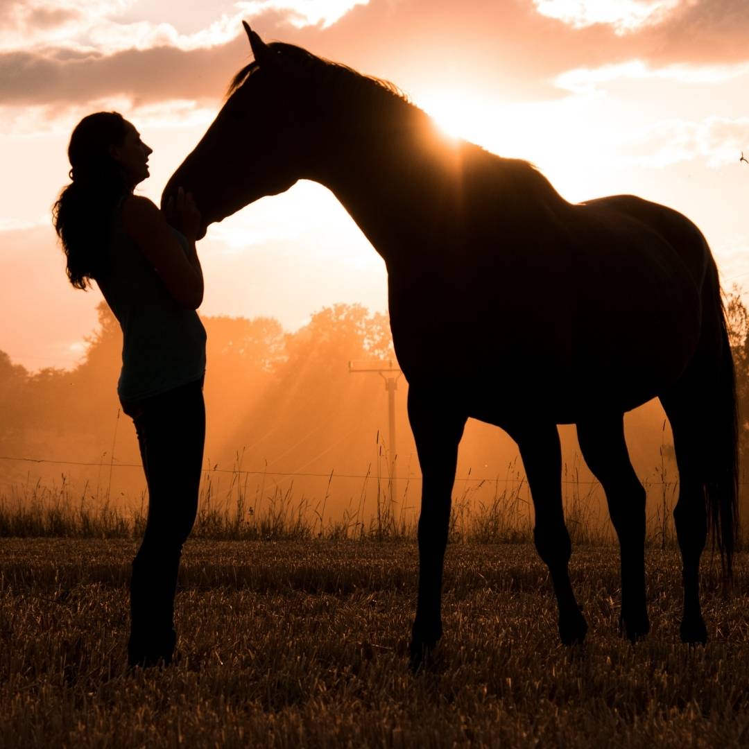 Alanya Horse Safari