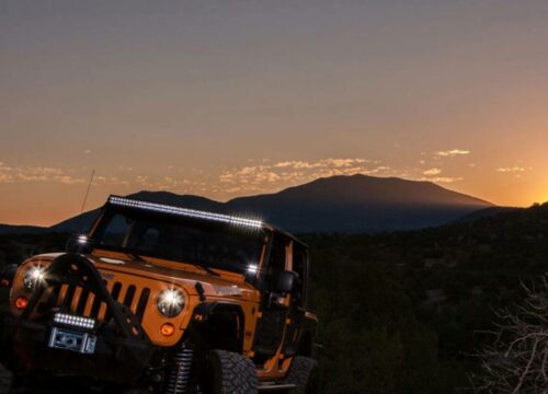 Alanya Night Safari