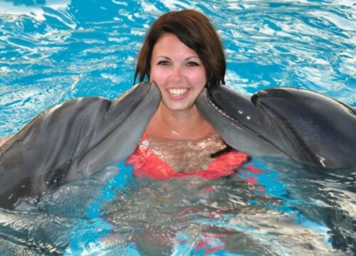 Alanya Swim with Dolphins