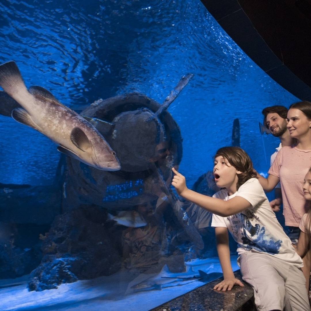 Antalya Aquarium Tour from Alanya