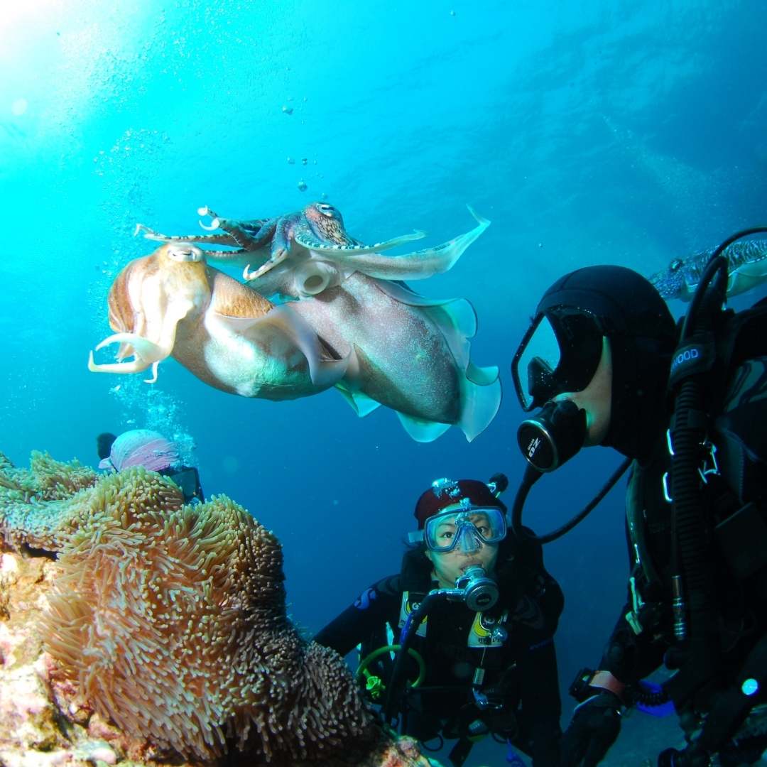 Belek Diving Tour