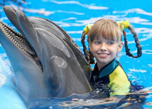 Belek Swim with Dolphins