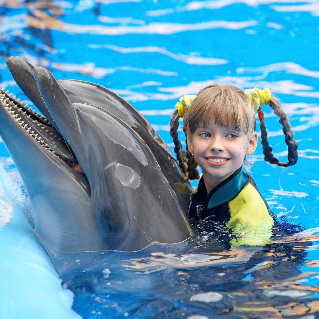 Belek Swim with Dolphins