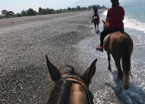 Fethiye Horse Riding