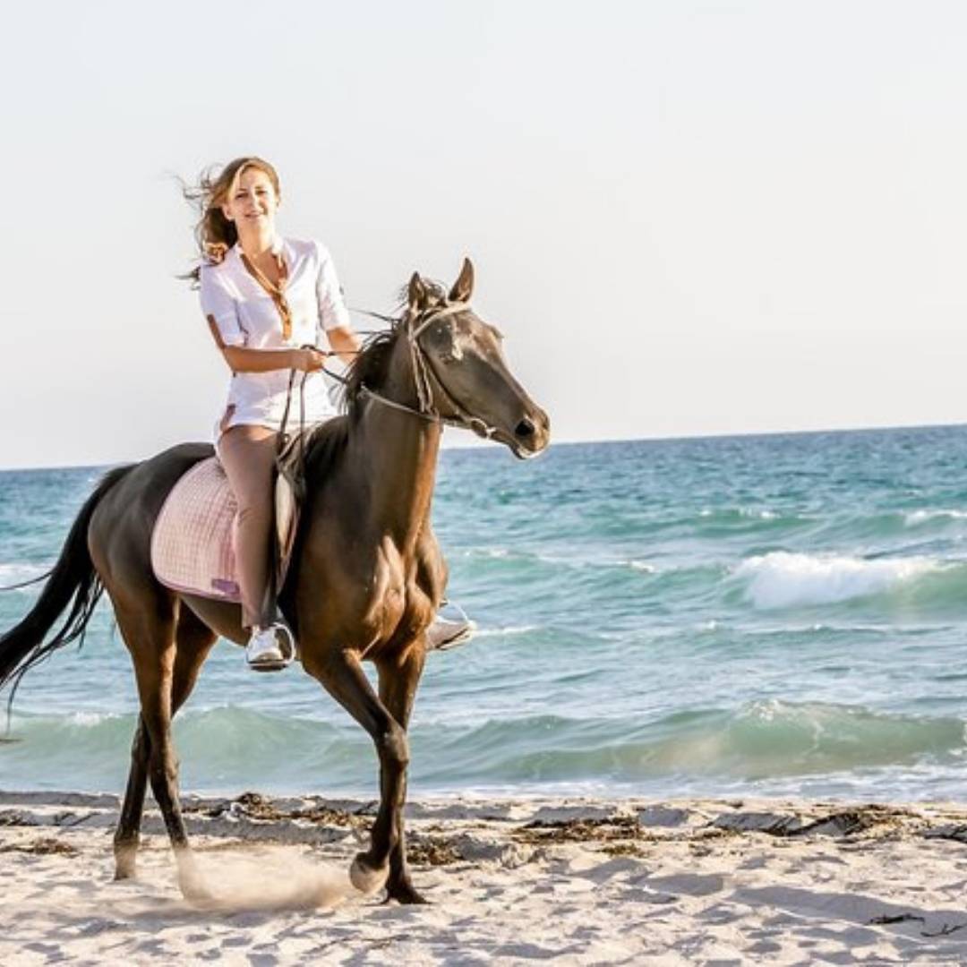 Horse Riding Experience in Antalya/Belek