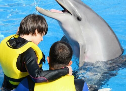 Kemer Dolphinarium