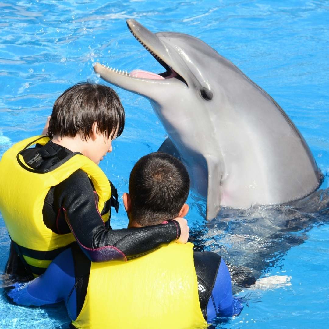 Kemer Dolphinarium