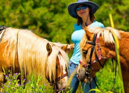 Kemer Horse Safari