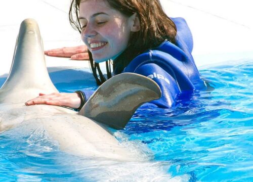 Kemer Swimming with Dolphins