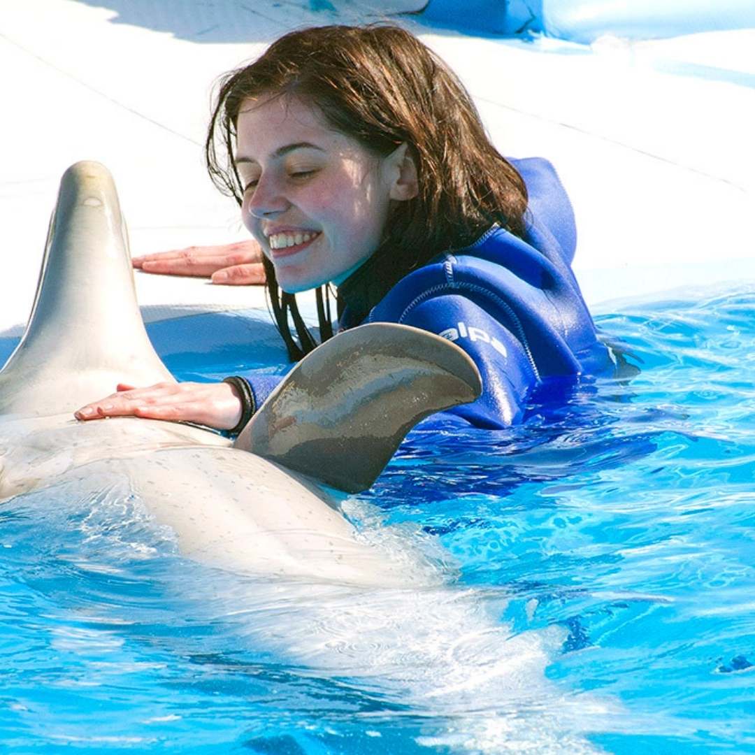 Kemer Swimming with Dolphins