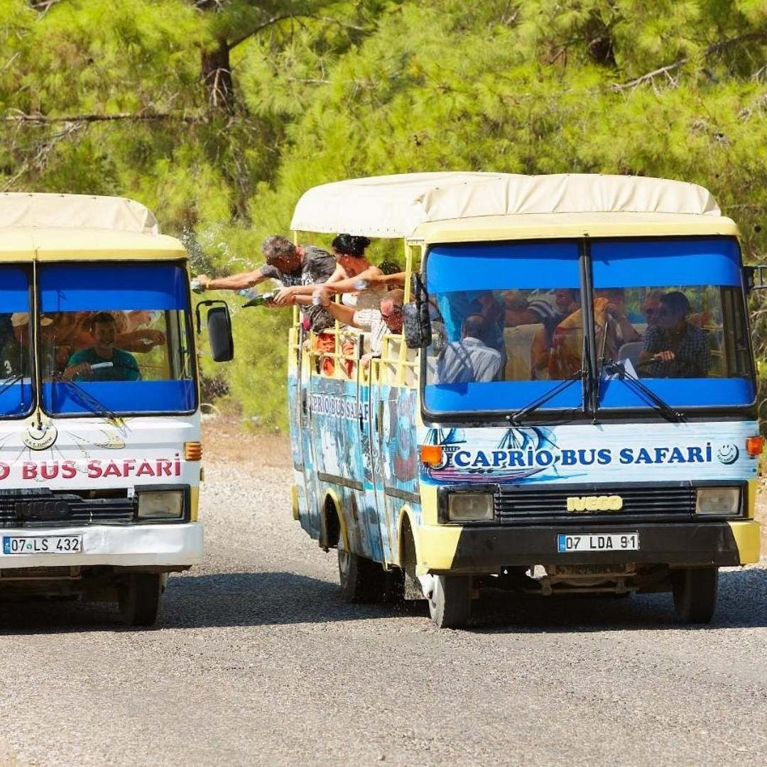 Side Cabrio Bus Safari